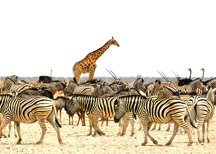 Afrique du Sud & Namibie (circuit de 25 jours)