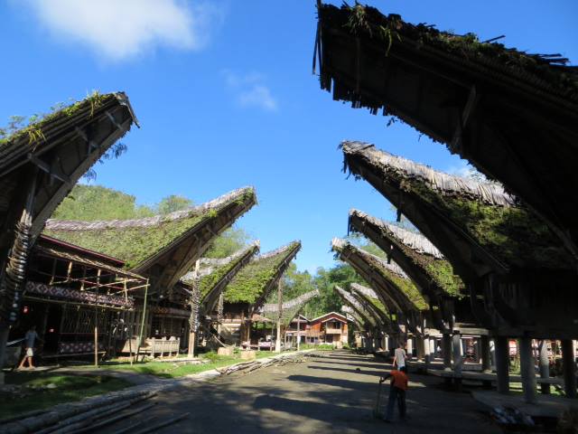 Indonésie (iles Java, Sulawesi, Komodo et Bali (circuit 26 jours)