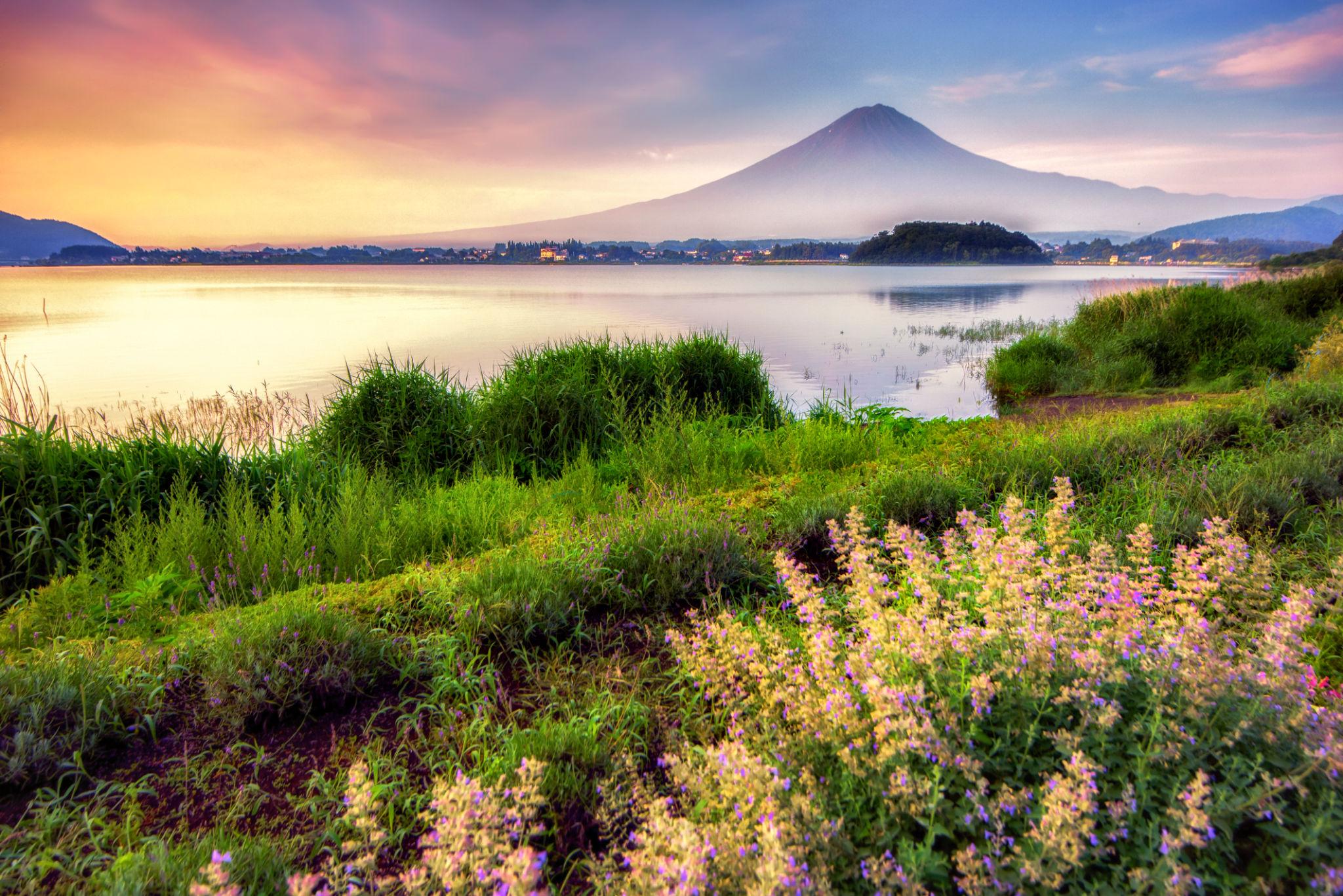 Jour 20 - FUJI – MONT FUJI – TOKYO