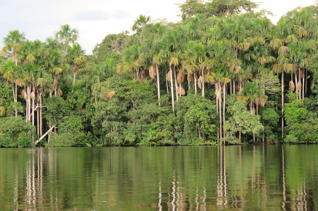 JOUR 20: - CUZCO / PUERTO MALDONADO (AMAZONIE)
